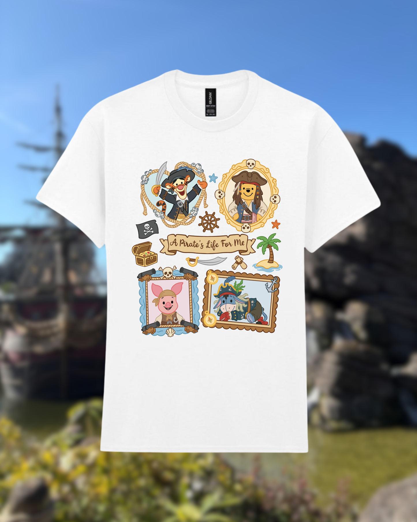 A Pirates Life For Pooh and Friends